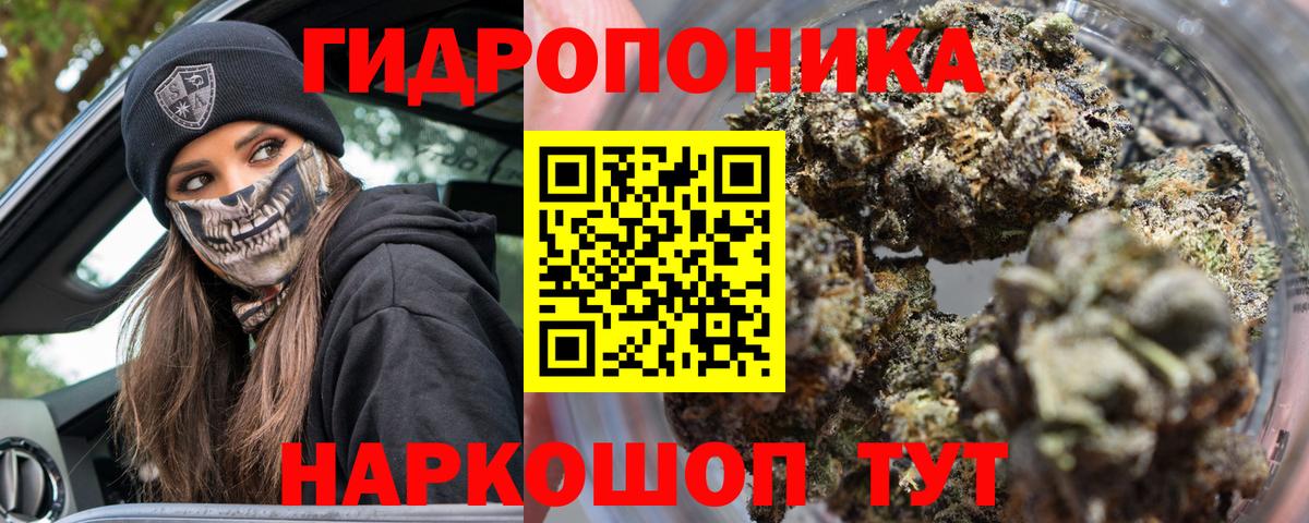 Конопля индика Сосновый Бор